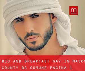 Bed and Breakfast Gay in Mason County da comune - pagina 1