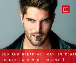 Bed and Breakfast Gay in Rowan County da comune - pagina 1