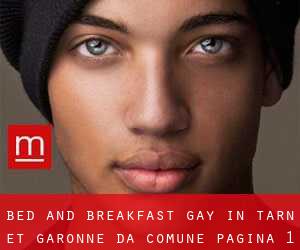 Bed and Breakfast Gay in Tarn-et-Garonne da comune - pagina 1