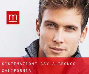 Sistemazione Gay a Bronco (California)