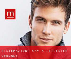 Sistemazione Gay a Leicester (Vermont)
