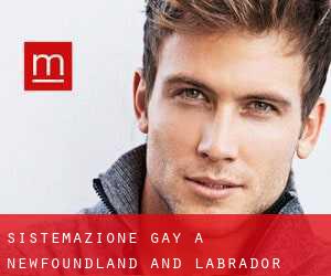 Sistemazione Gay a Newfoundland and Labrador