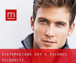 Sistemazione Gay a Raionul Teleneşti