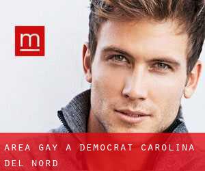 Area Gay a Democrat (Carolina del Nord)