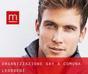 Organizzazione Gay a Comuna Leordeni