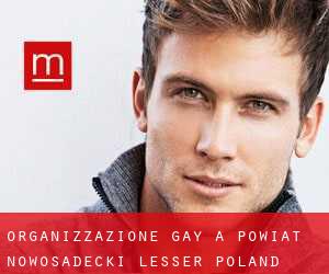 Organizzazione Gay a Powiat nowosadecki (Lesser Poland Voivodeship) (Voivodato della Piccola Polonia)