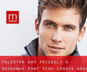 Palestra Gay Friendly a Duvernay-Pont-Viau (census area)