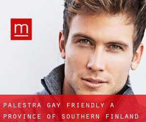 Palestra Gay Friendly a Province of Southern Finland