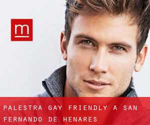 Palestra Gay Friendly a San Fernando de Henares