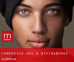 Campeggio Gay a Åtvidabergs Kommun