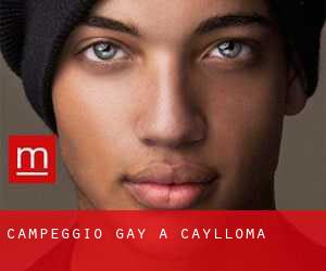 Campeggio Gay a Caylloma