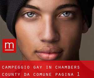 Campeggio Gay in Chambers County da comune - pagina 1