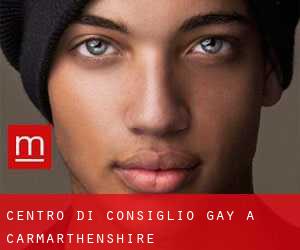 Centro di Consiglio Gay a Carmarthenshire