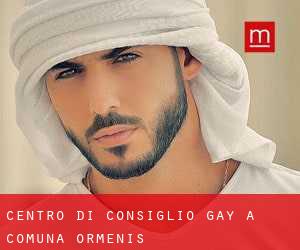 Centro di Consiglio Gay a Comuna Ormeniş