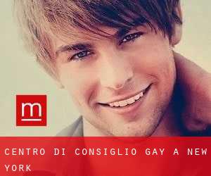 Centro di Consiglio Gay a New York