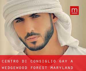 Centro di Consiglio Gay a Wedgewood Forest (Maryland)
