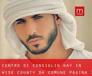 Centro di Consiglio Gay in Wise County da comune - pagina 1