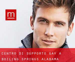 Centro di Supporto Gay a Boiling Springs (Alabama)