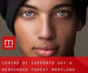 Centro di Supporto Gay a Wedgewood Forest (Maryland)