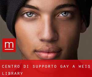 Centro di Supporto Gay a Weis Library
