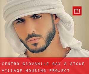 Centro Giovanile Gay a Stowe Village Housing Project
