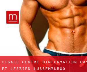 Cigale - Centre d'Information Gay et Lesbien (Lussemburgo)