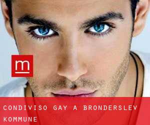 Condiviso Gay a Brønderslev Kommune