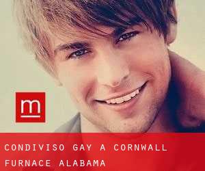 Condiviso Gay a Cornwall Furnace (Alabama)