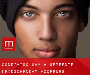 Condiviso Gay a Gemeente Leidschendam-Voorburg