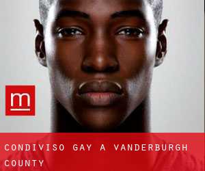 Condiviso Gay a Vanderburgh County