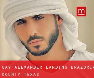 gay Alexander Landing (Brazoria County, Texas)