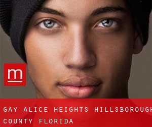 gay Alice Heights (Hillsborough County, Florida)