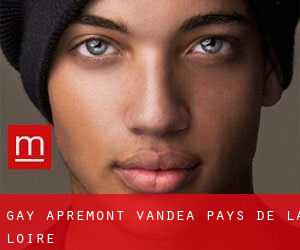 gay Apremont (Vandea, Pays de la Loire)