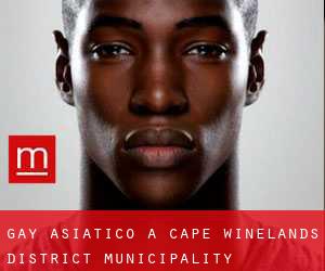 Gay Asiatico a Cape Winelands District Municipality