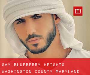 gay Blueberry Heights (Washington County, Maryland)