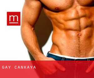 gay Çankaya gay Çankaya