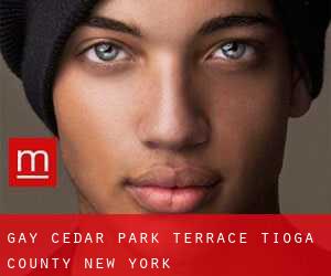 gay Cedar Park Terrace (Tioga County, New York)