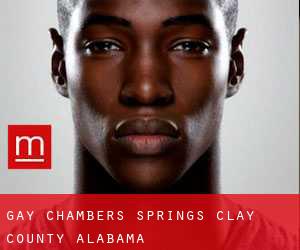 gay Chambers Springs (Clay County, Alabama)