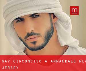 Gay Circonciso a Annandale (New Jersey)