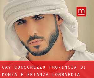 gay Concorezzo (Provincia di Monza e Brianza, Lombardia)