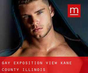 gay Exposition View (Kane County, Illinois)
