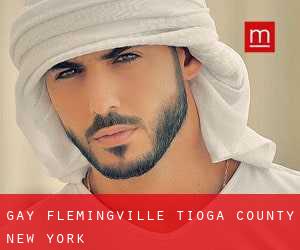 gay Flemingville (Tioga County, New York)