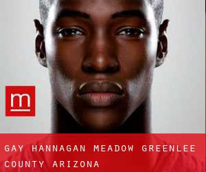 gay Hannagan Meadow (Greenlee County, Arizona)