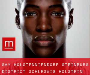 gay Holstenniendorf (Steinburg District, Schleswig-Holstein)