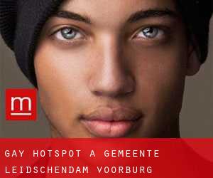 Gay Hotspot a Gemeente Leidschendam-Voorburg