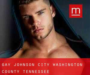 gay Johnson City (Washington County, Tennessee)