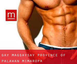 gay Magsaysay (Province of Palawan, Mimaropa)
