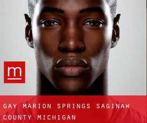 gay Marion Springs (Saginaw County, Michigan)