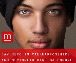 Gay Nero in Caernarfonshire and Merionethshire da comune - pagina 1