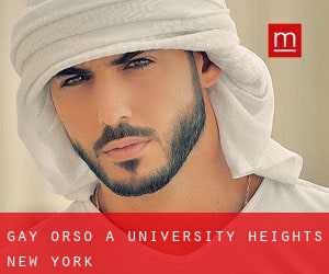 Gay Orso a University Heights (New York)